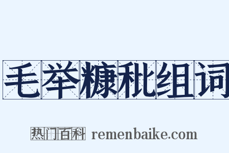 毛举糠秕组词是什么意思的图片
